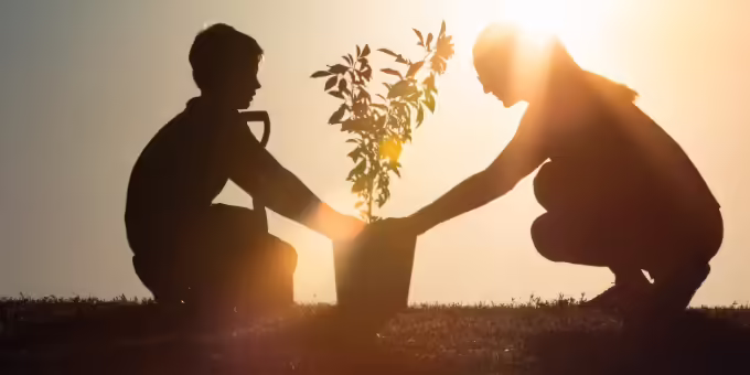 Family planting a tree with sunlight