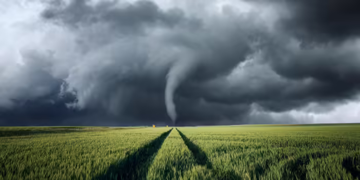 A tornado twisting through farm fields.