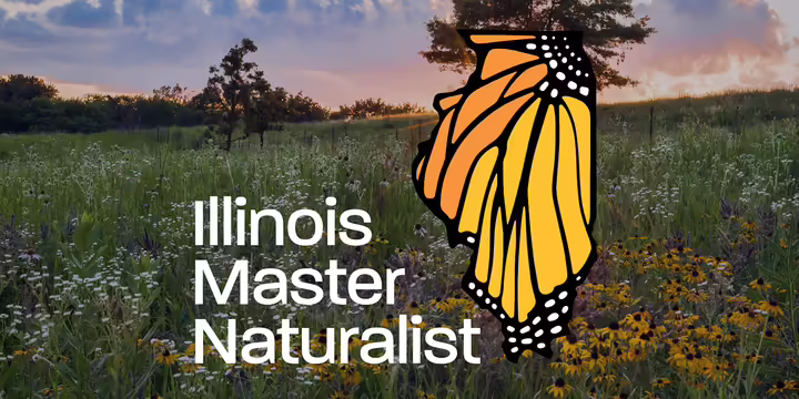 Illinois master naturalist logo