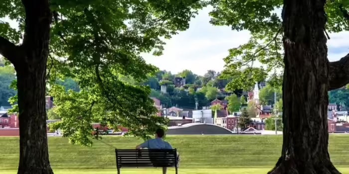 A man sits on a bench under two large shade trees and looks on at a city in front of him. 