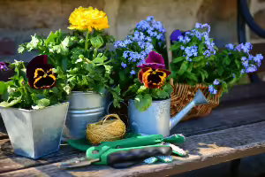 Speaker's Bureau Training