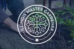 White Master Gardener logo on photo of hands planting a plant. 