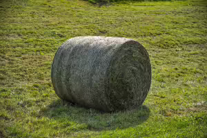 round hay bale