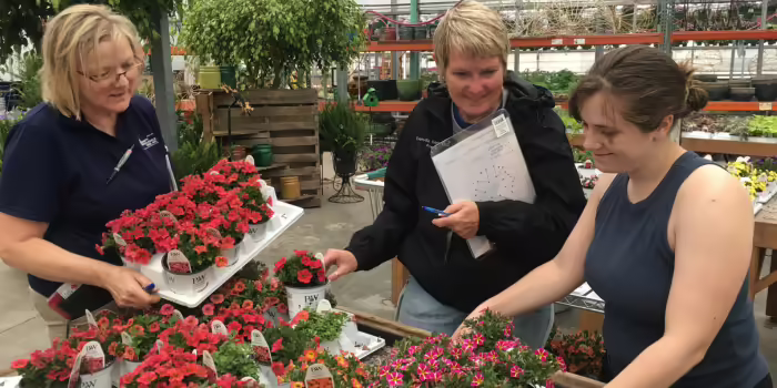 Master Gardeners working with flats of flowers.