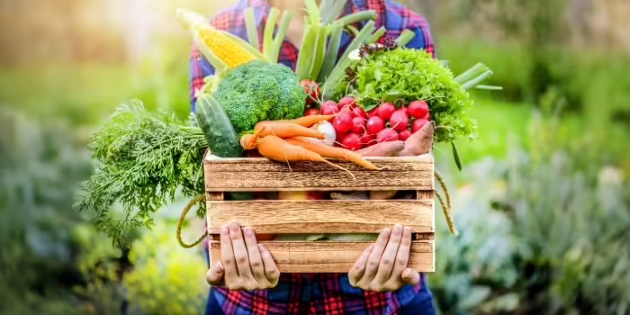 A person holding a box full of a variety of fresh vegetables 