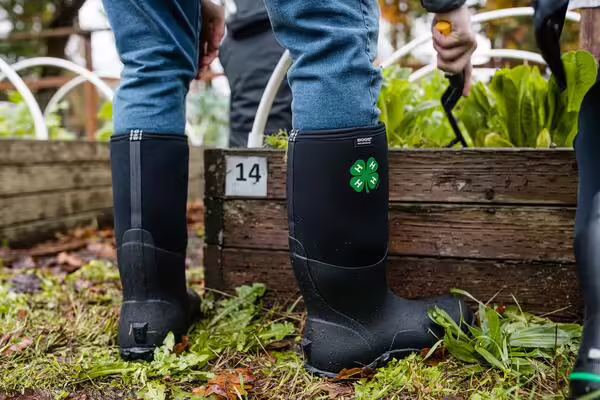 close-up image of 4-H mud boots worn by someone working in a raised garden