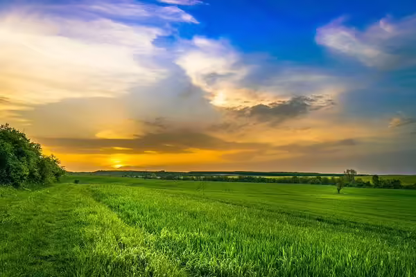 a sunset over an agricultural field