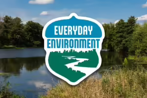 Everyday Environment