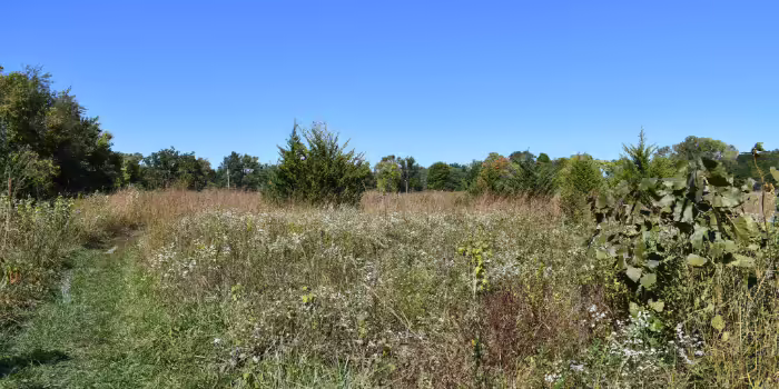 Central Illinois pasture