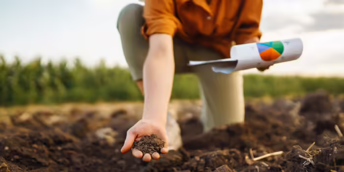 A person kneels in a cultivated field, holding a handful of soil while carrying a rolled field map or research document.