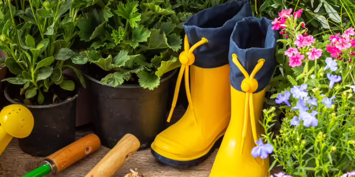 Yellow gardening boots surrounded by blooming flowers in pots, gardening tools, and a small yellow watering can on a wooden surface.