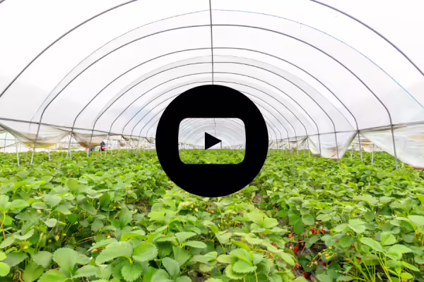 A greenhouse with a graphic of a YouTube play button.