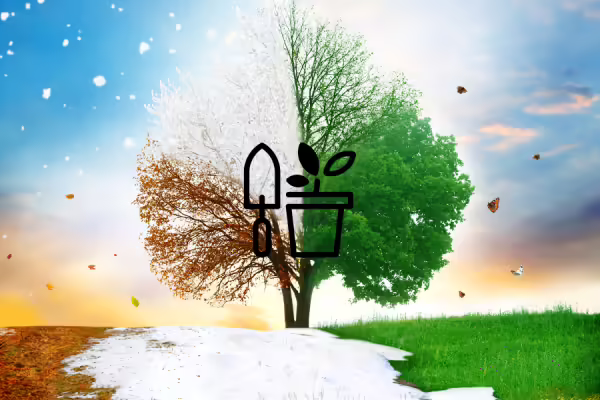 Image of a tree experiencing all four seasons with a graphic of a potted plant and garden tool over the top.