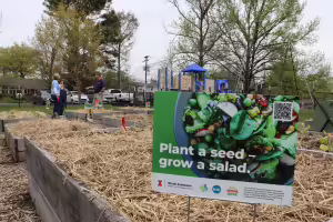 a community garden in a park