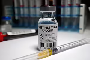 West Nile Virus vaccine