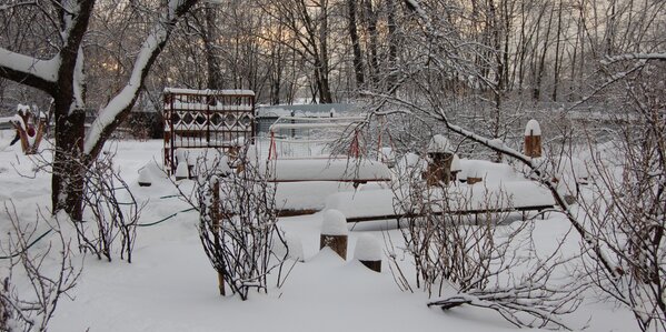 Snow covering gardens, trees and bird feeders