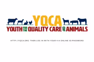YQCA TRAINING