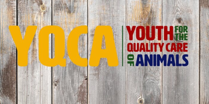 Youth for the Quality Care of Animals Logo