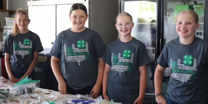 Four Henderson County 4-H members standing by a table filled with decorated desserts.