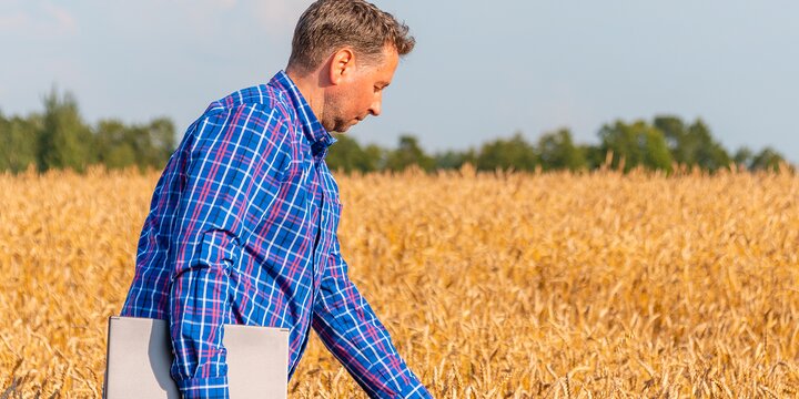 Middle aged man in field of wheat