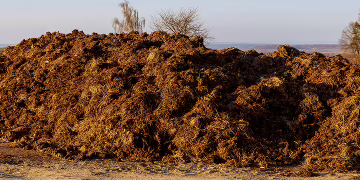 Pile of manure
