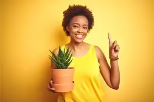 Young african american woman against yellow background holding aloe plant, holding finger like asking a question