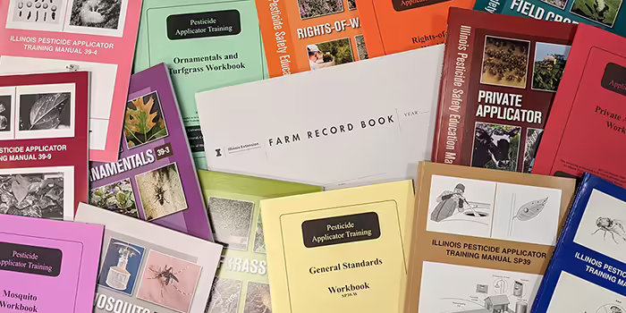 record books and workbooks