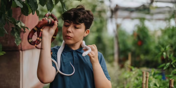 A boy holding a pair of snakes 