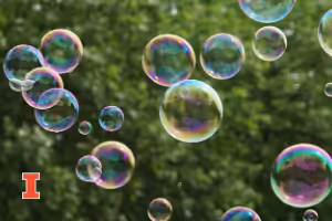 bubbles