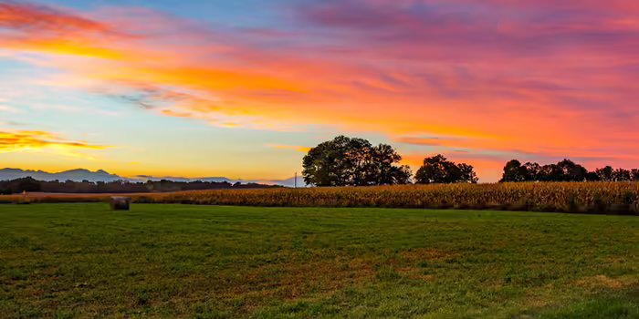 landscape view of a field at sunset