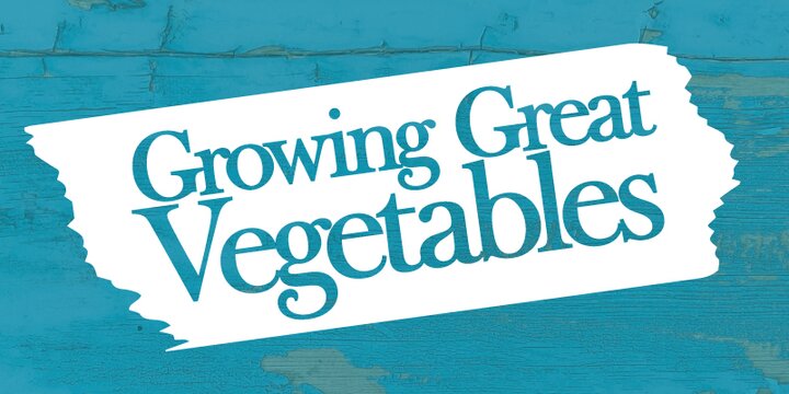 blue background text Growing Great Vegetables