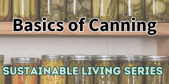 Jar of home canned vegetables on shelves