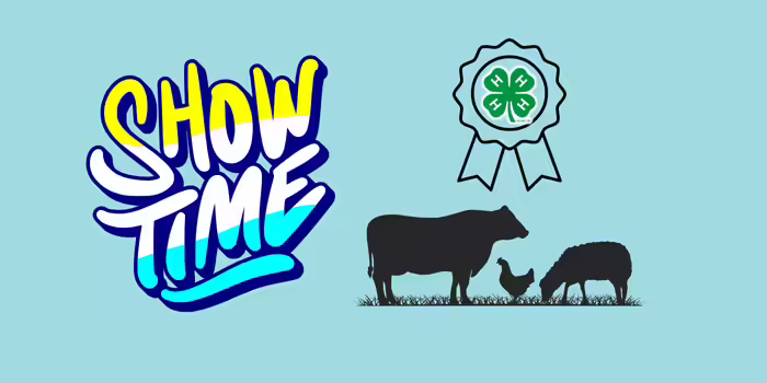 Showtime with ribbon and livestock animals
