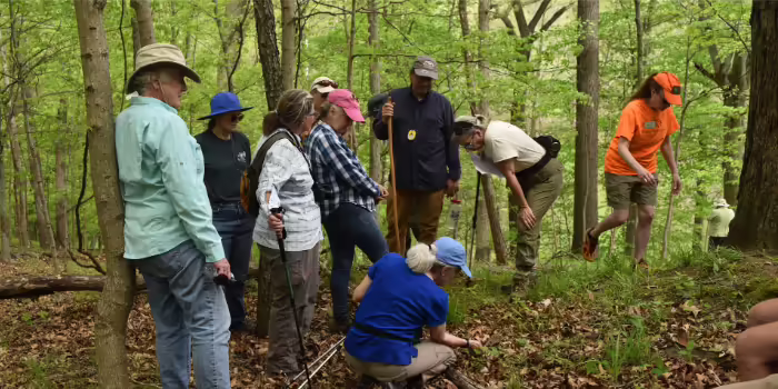 Extension master naturalists explore a forest