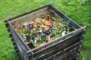 compost bin