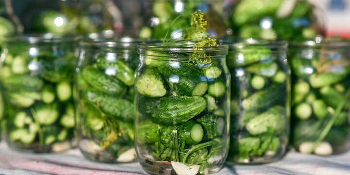 cucumbers in jars preparing to be preserved by pickling