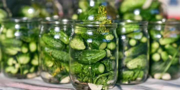 cut fresh cucumbers prepared for pickling in clear jars