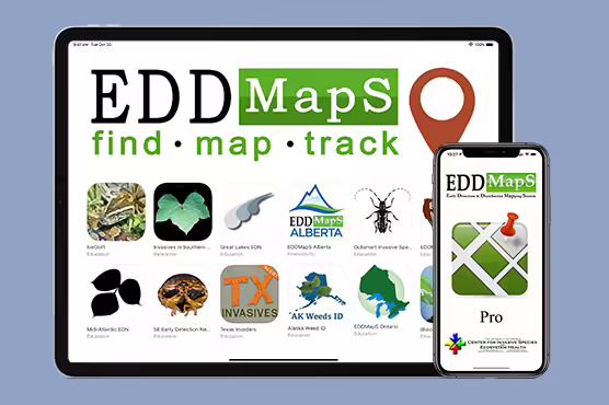 EDD Maps graphic