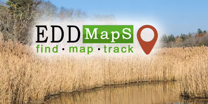 EDD maps logo in front of a pond with invasive phragmites
