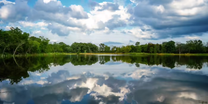 lake and trees at Illinois forest preserve