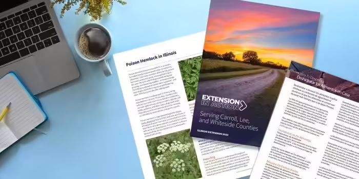 educational handouts on a desk