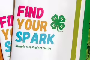 Find Your Spark project book