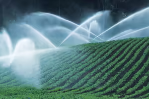 irrigation on a crop field