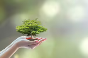 woman holding plant carefully in her hands