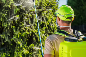 man spraying for pests on crops