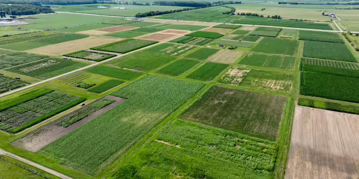 aerial view of field and garden plots