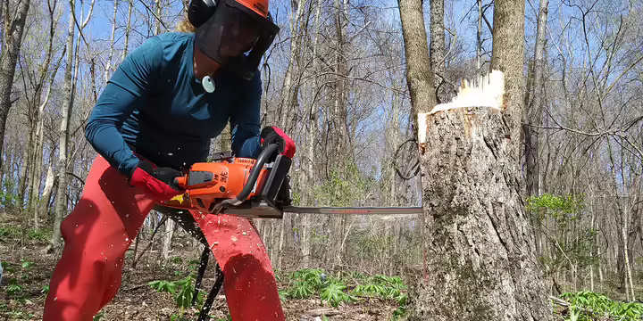 a person in safety gear uses a chainsaw on a tree trunk