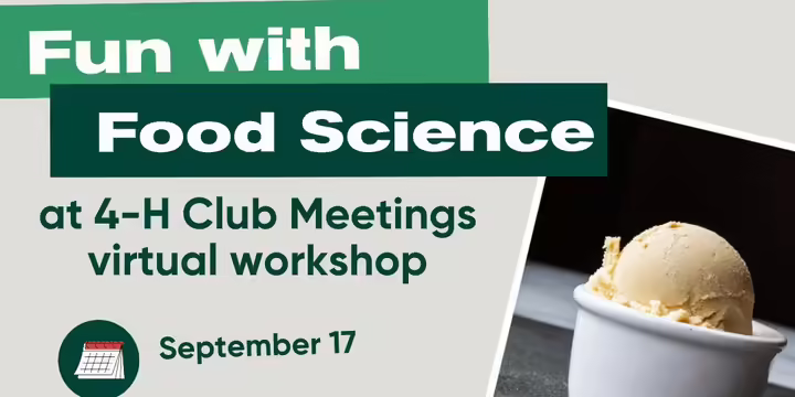 Fun with Food Science leader workshop