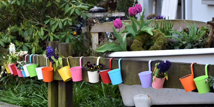 Garden planters hanging on a fence