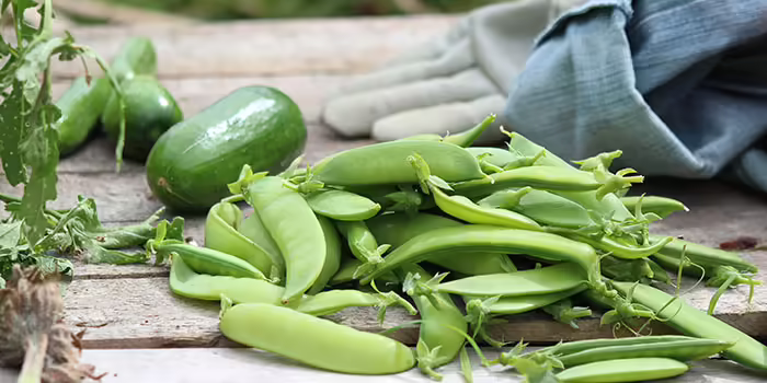 cucumber and peas on bench
